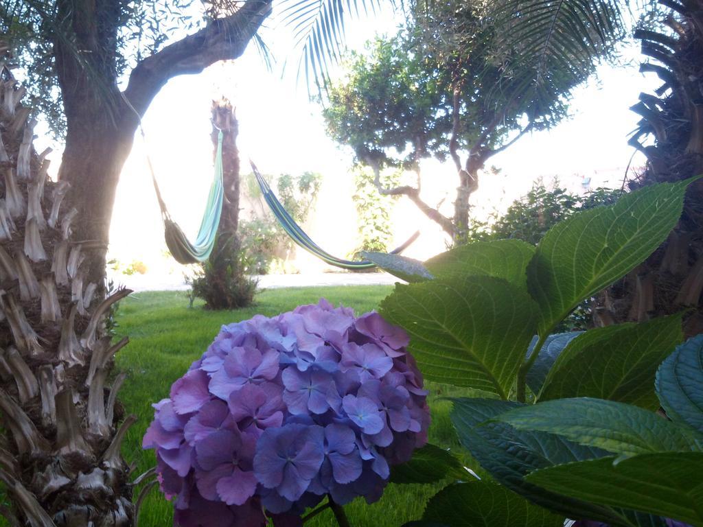 Nora Guesthouse Rooms And Villas Pula Bagian luar foto